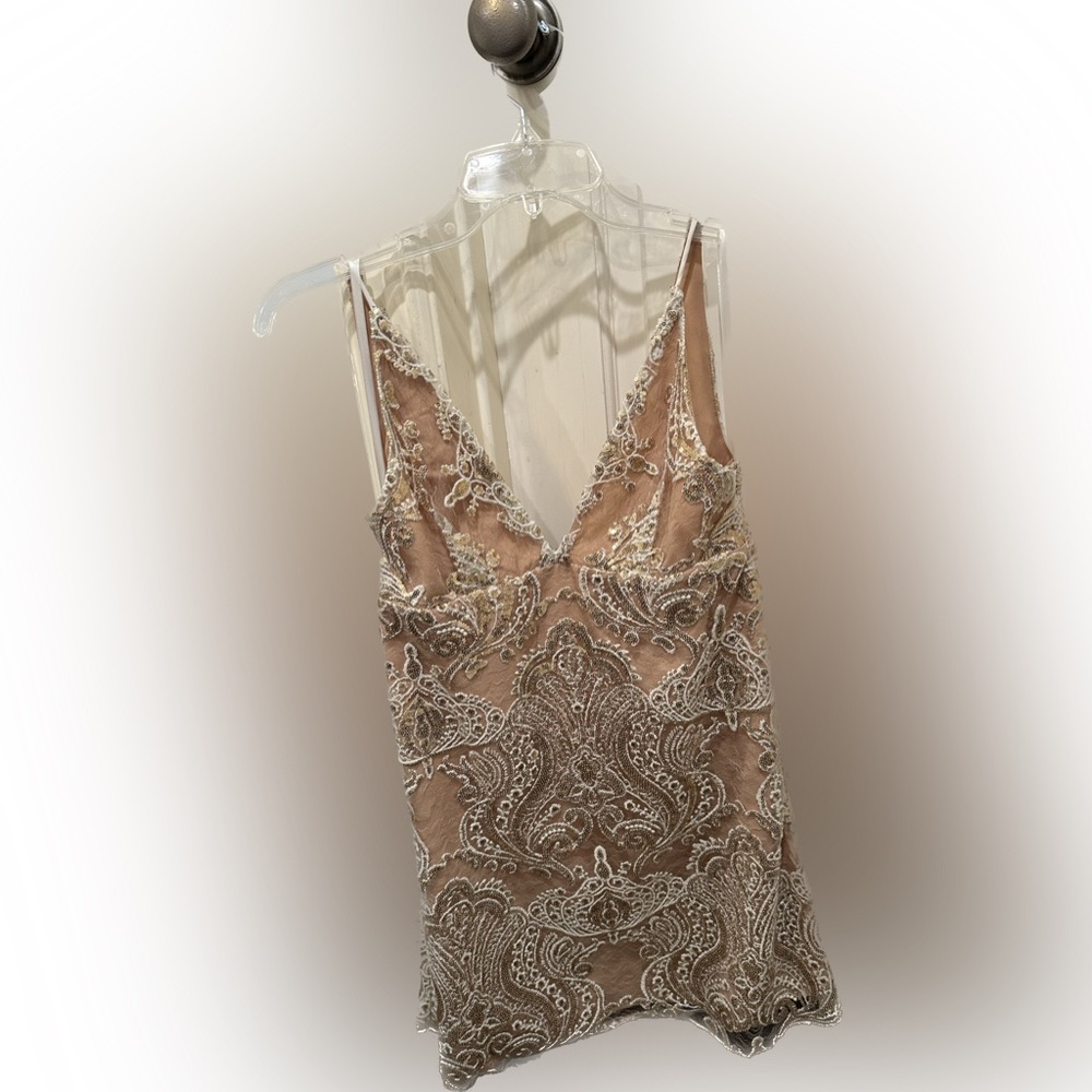 Sparkly Dress